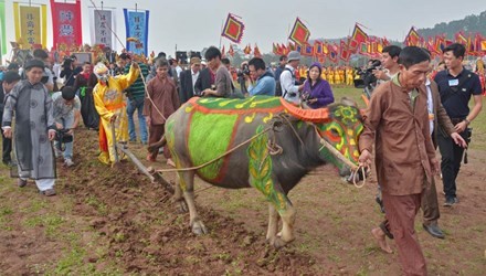 Vice President attends Tich Dien Ploughing Festival  - ảnh 1